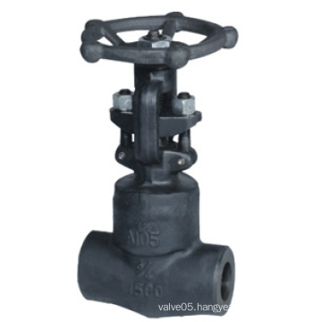 API Forged Steel Globe Valve (GLZ45X)